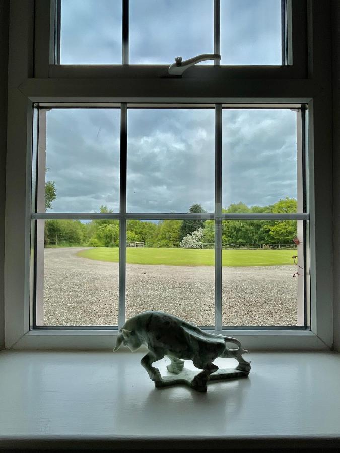 The Cottage At Riverbank Ballinamallard Esterno foto