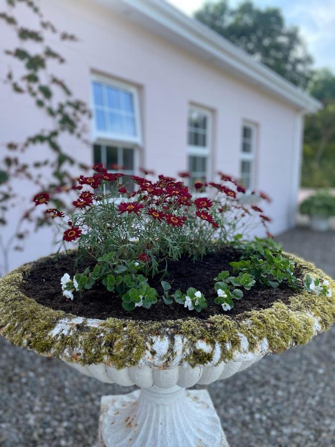 The Cottage At Riverbank Ballinamallard Esterno foto